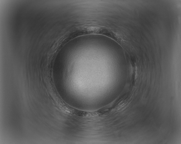 X0000067841249200604201232