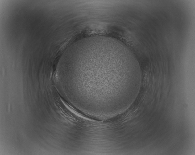 X0000067841250200604201232