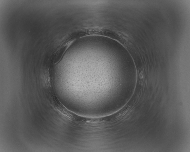 X0000067841252200604201232