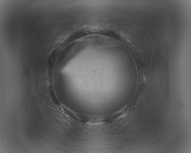 X0000067841253200604201232