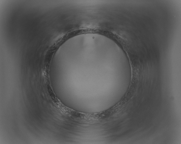 X0000067841254200604201232