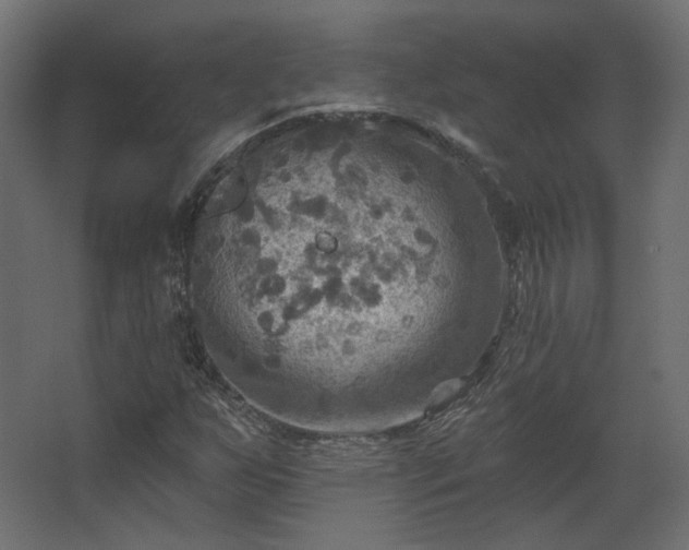 X0000067841255200604201232