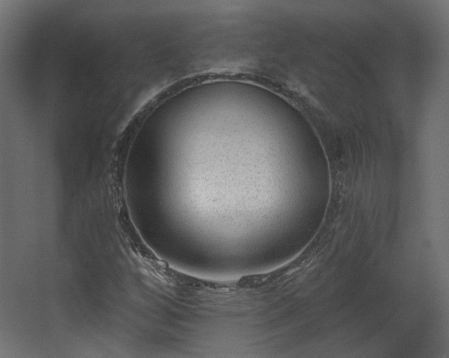 X0000067841256200604201232