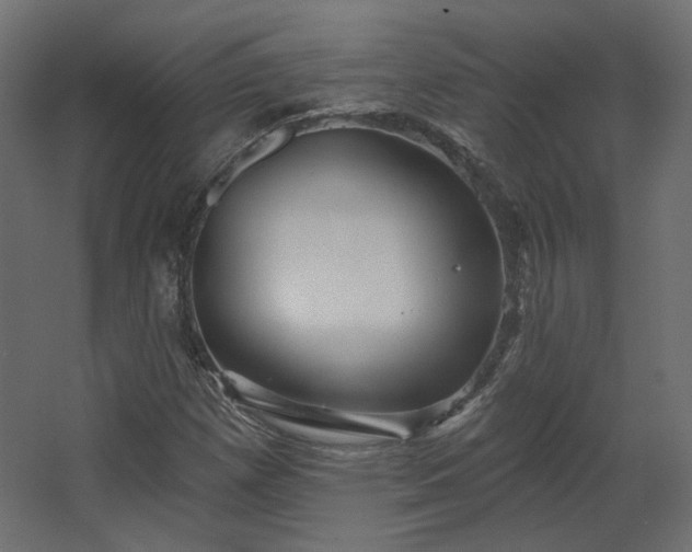 X0000067841257200604201232