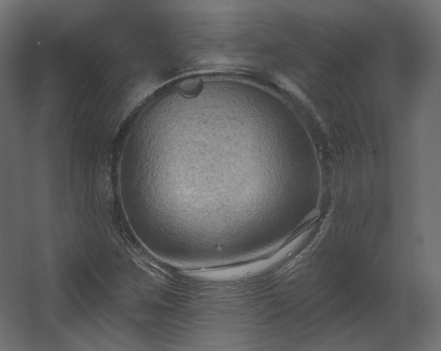 X0000067841259200604201232