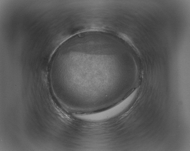 X0000067841260200604201232