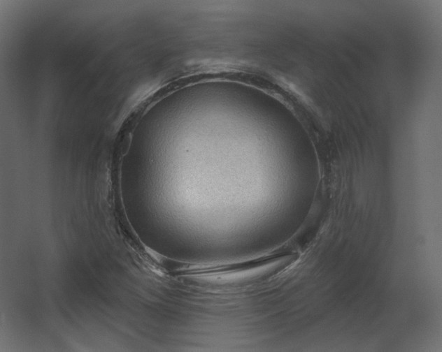 X0000067841261200604201232