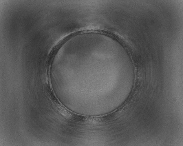 X0000067841262200604201232