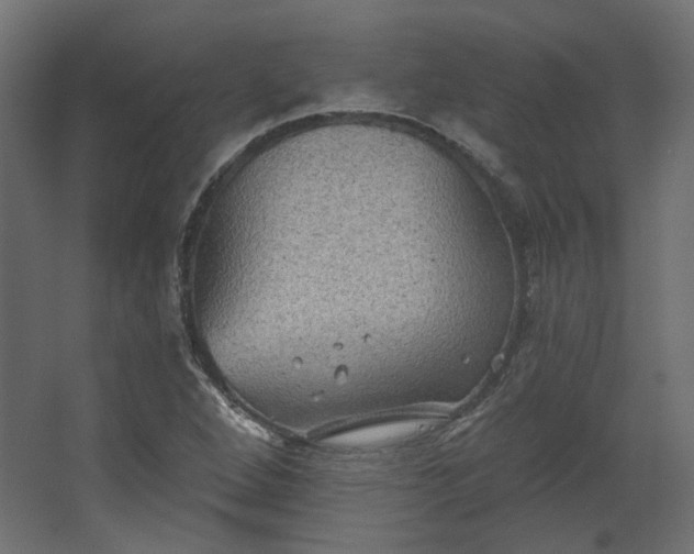 X0000067841264200604201232