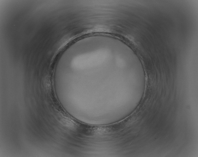 X0000067841266200604201232