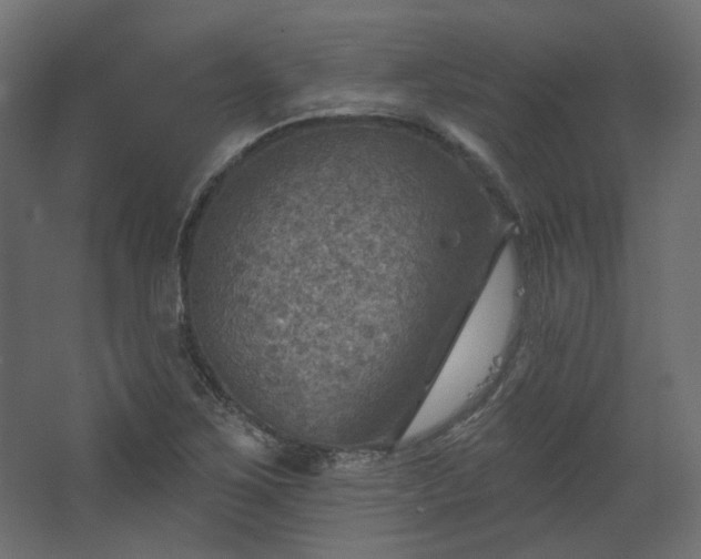 X0000067841267200604201232