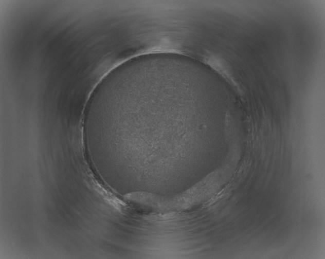 X0000067841268200604201232