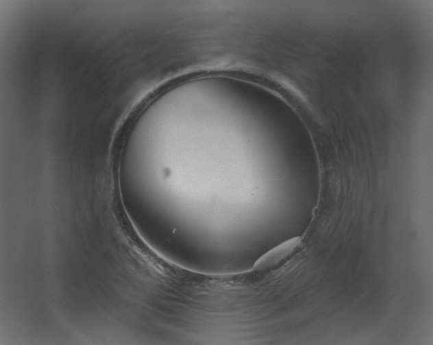 X0000067841270200604201232