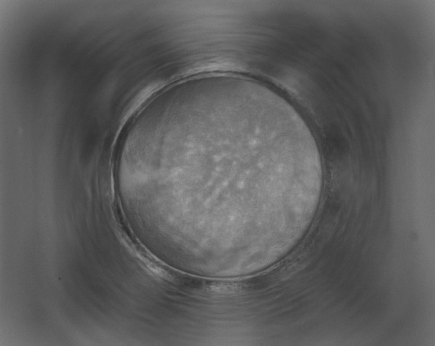 X0000067841274200604201232