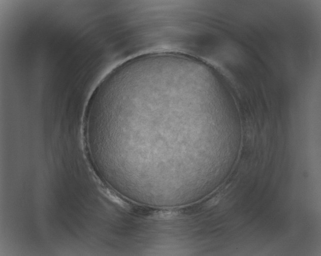 X0000067841278200604201232