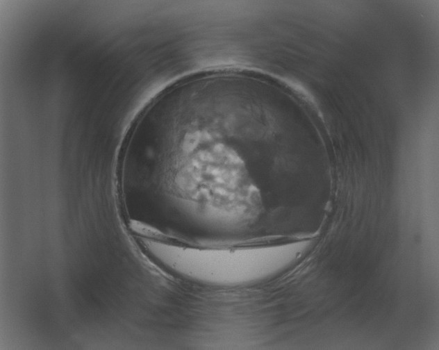 X0000067841279200604201232