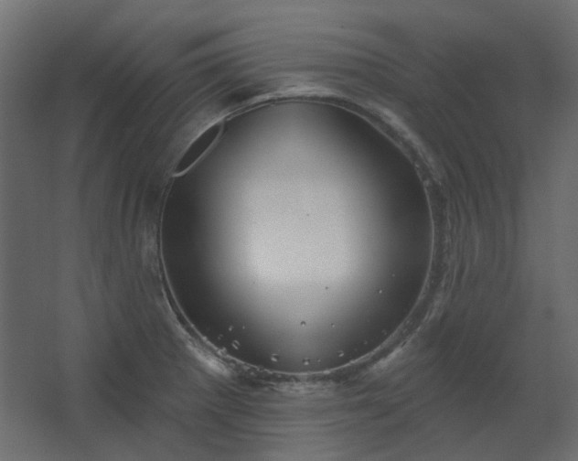 X0000067841281200604201232