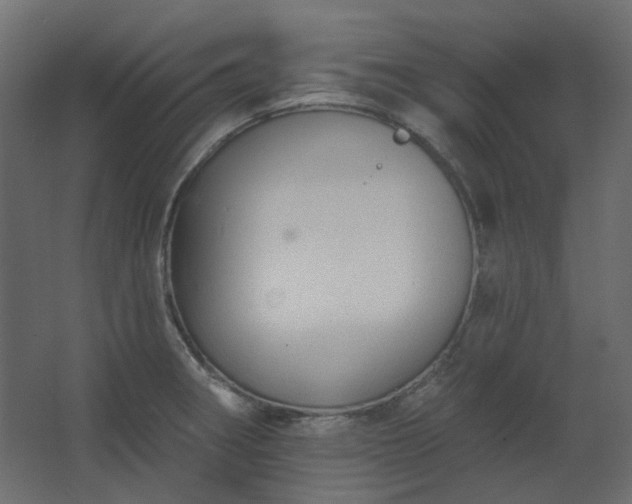 X0000067841282200604201232