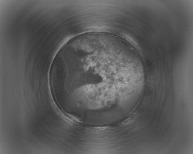 X0000067841283200604201232