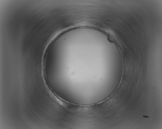 X0000067841286200604201232