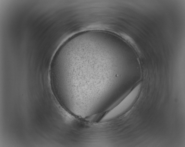 X0000067841288200604201232