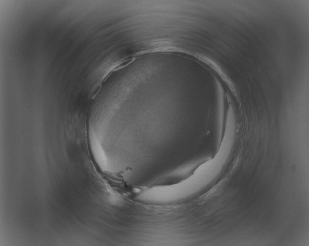 X0000067841289200604201232