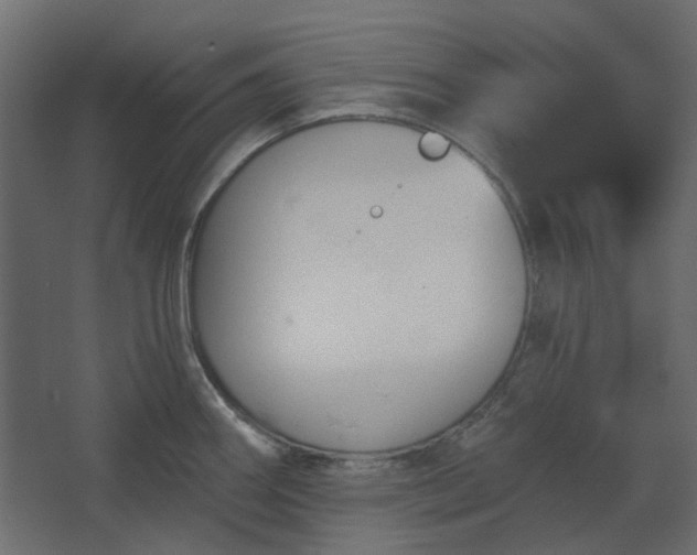 X0000067841290200604201232