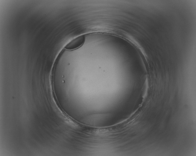 X0000067841291200604201232