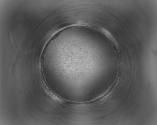 X0000067841292200604201232