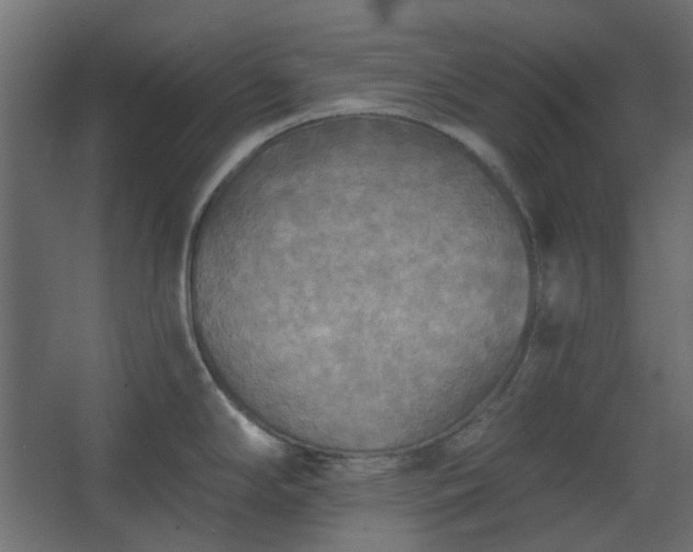 X0000067841294200604201232