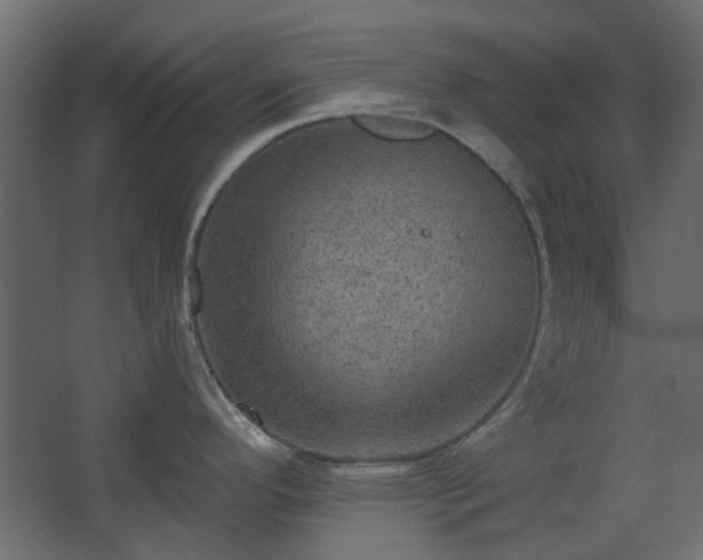 X0000067841296200604201232