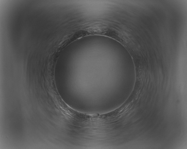 X0000067841297200604201231