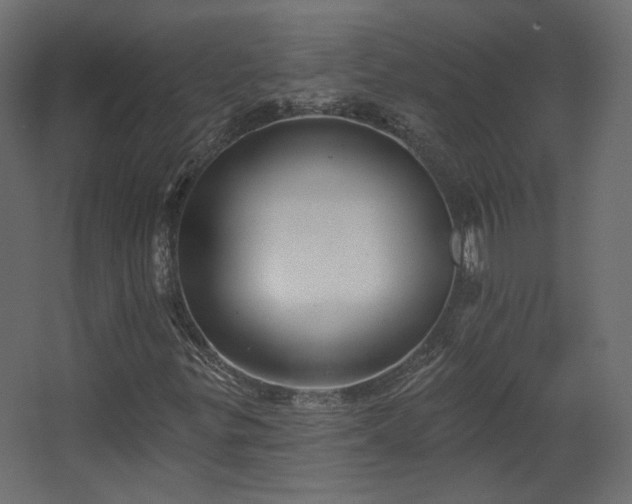 X0000067841299200604201231