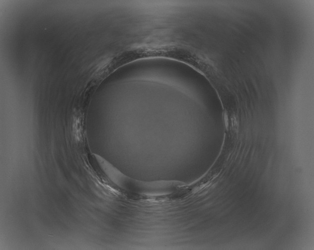 X0000067841300200604201231