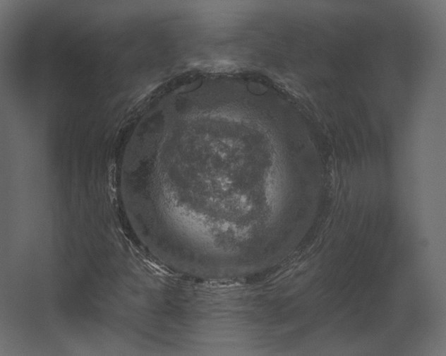 X0000067841301200604201231