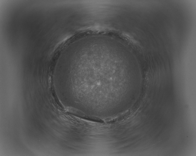 X0000067841302200604201231