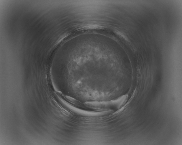 X0000067841305200604201231