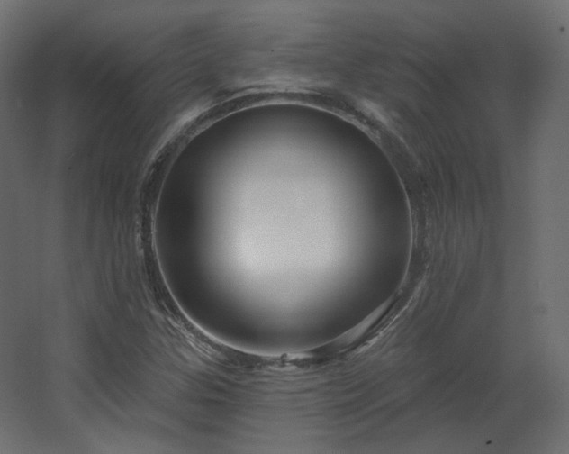 X0000067841307200604201231