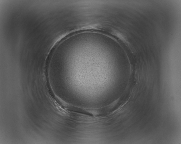 X0000067841308200604201231