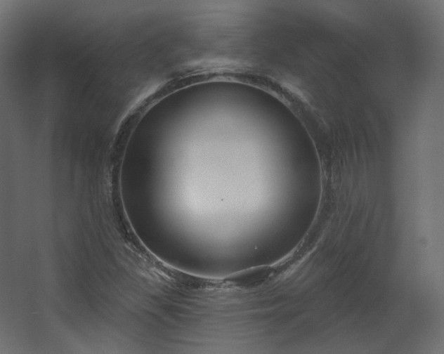 X0000067841309200604201231