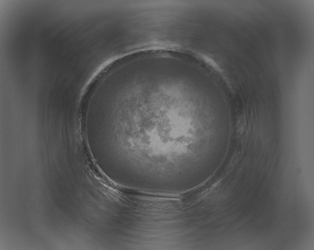 X0000067841310200604201231