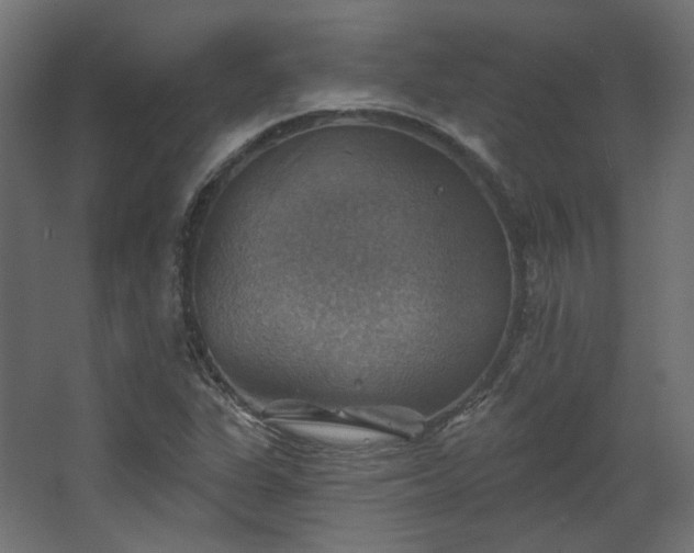 X0000067841311200604201231