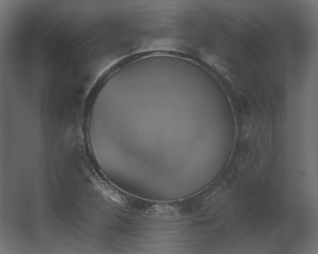 X0000067841312200604201231