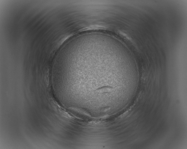 X0000067841313200604201231