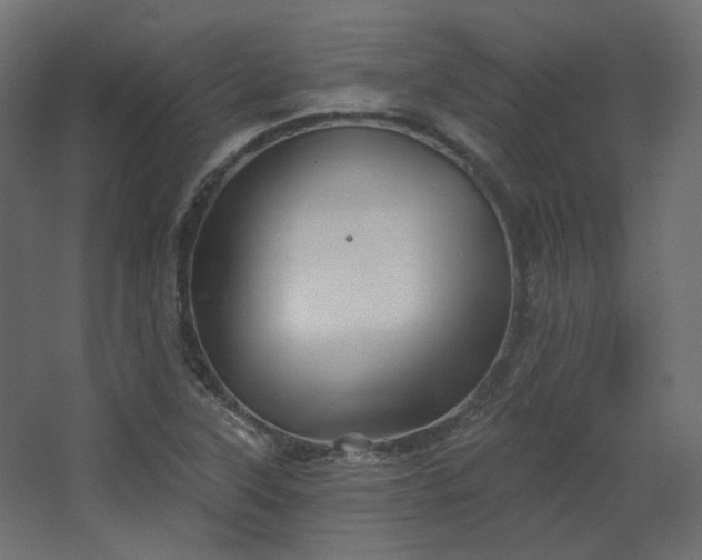 X0000067841315200604201231