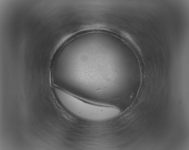 X0000067841320200604201231