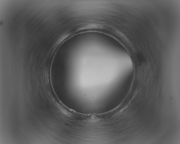 X0000067841321200604201231