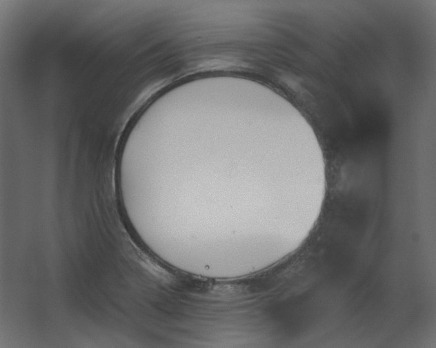 X0000067841322200604201231