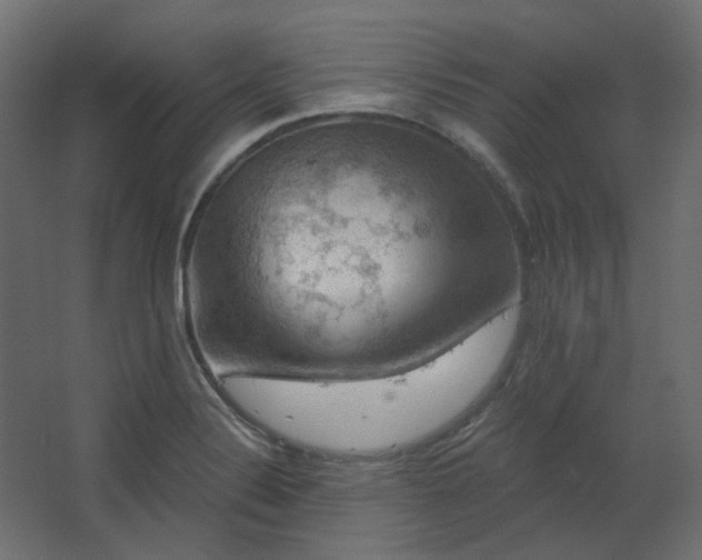 X0000067841324200604201231