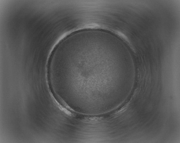 X0000067841326200604201231